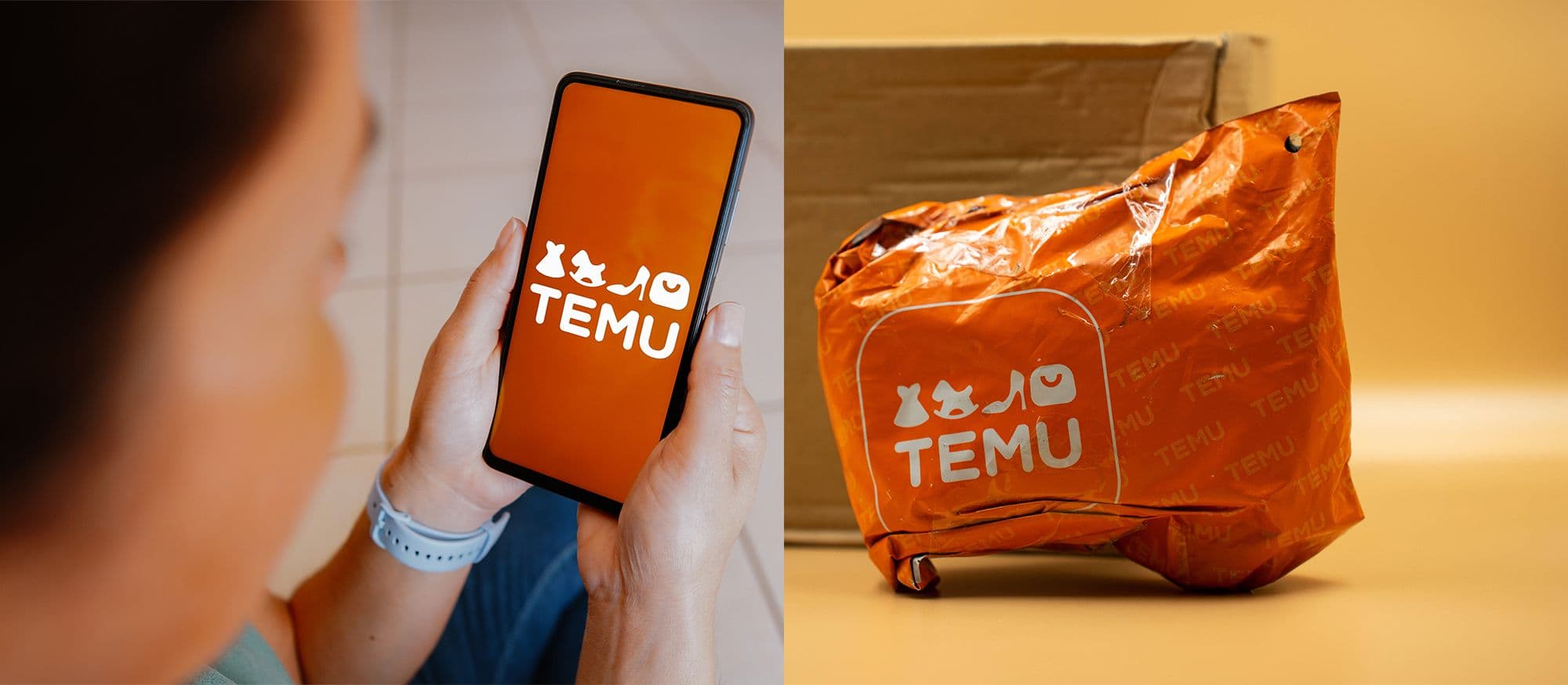 Beliebte Kategorien mit neuen Produkten