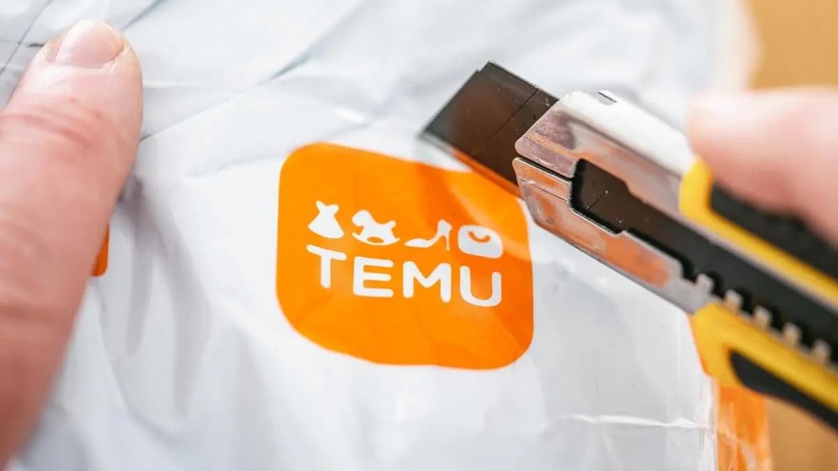Temu Rabattaktionen Deutschland im Überblick